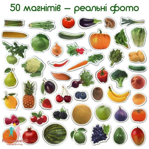 Набір магнітів "Фрукти і овочі", 50 елементів 137521 фото Набір магнітів "Фрукти і овочі", 50 елементів 137521 фото