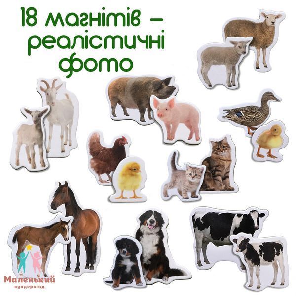 Набір магнітів "Мама і малюк. Ферма" 139470 фото Набір магнітів "Мама і малюк. Ферма" 139470 фото
