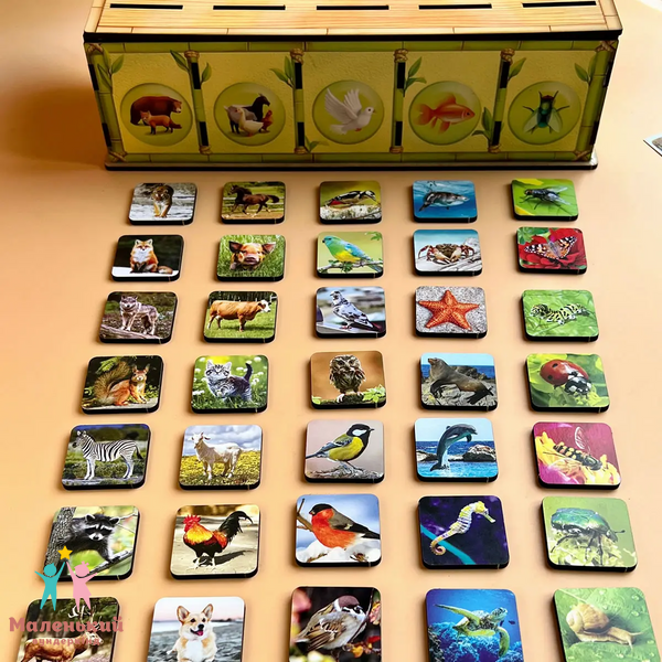 Сортер - скринька "Тваринний світ" ПСФ110 фото Сортер - скринька "Тваринний світ" ПСФ110 фото
